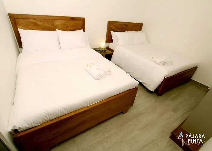 Hostal Pajara Pinta